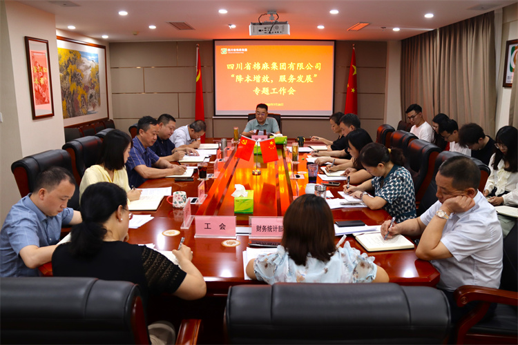 鄧華主持召開集團(tuán)公司“降本增效、服務(wù)發(fā)展”專題工作會