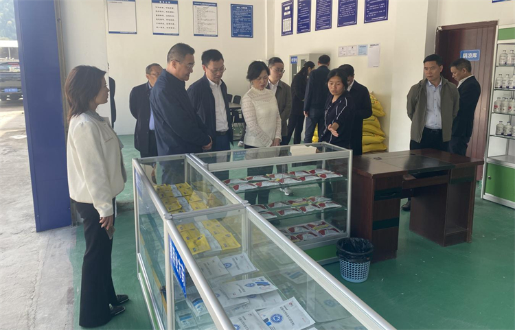 四川省供銷社黨組成員、理事會副主任、一級巡視員楊武秀帶隊到萬源調(diào)研集團舊院黑雞產(chǎn)業(yè)發(fā)展工作