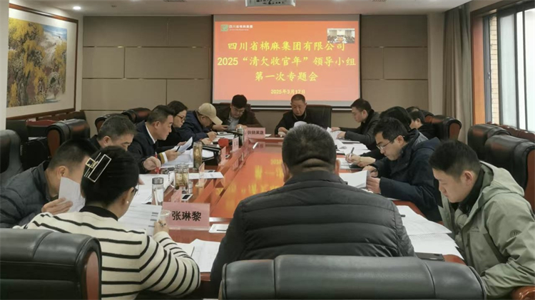 集團公司召開2025“清欠收官年”領(lǐng)導(dǎo)小組第一次專題會